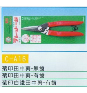 田中剪