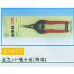 橘子剪