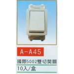 國際5002雙切開關