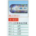 2P2+2正側插延長線